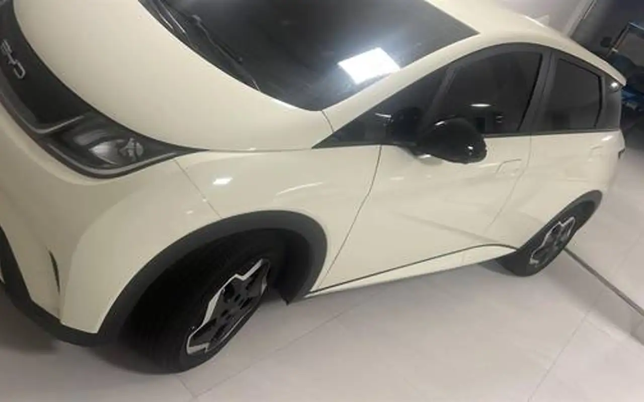 BYD DOLPHIN 44,9 KW ELÉTRICO — foto 1 de 6