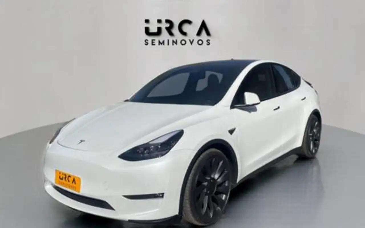 TESLA MODEL Y P100D PERFORMANCE AWD ELÉTRICO — foto 1 de 18