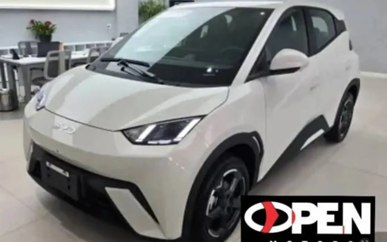 BYD DOLPHIN MINI 38 KW ELÉTRICO 5L — foto 1 de 11