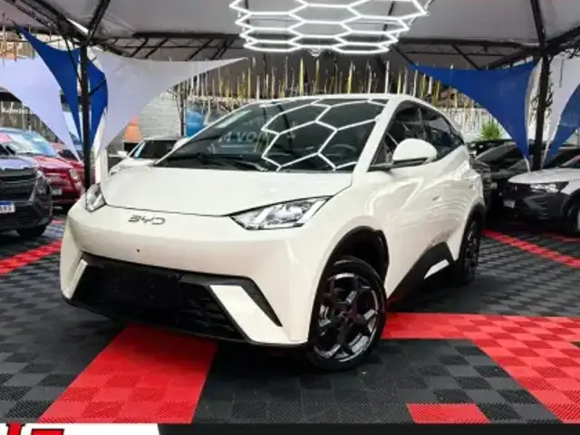 BYD DOLPHIN MINI 38 KW ELÉTRICO GS em Campinas, SP