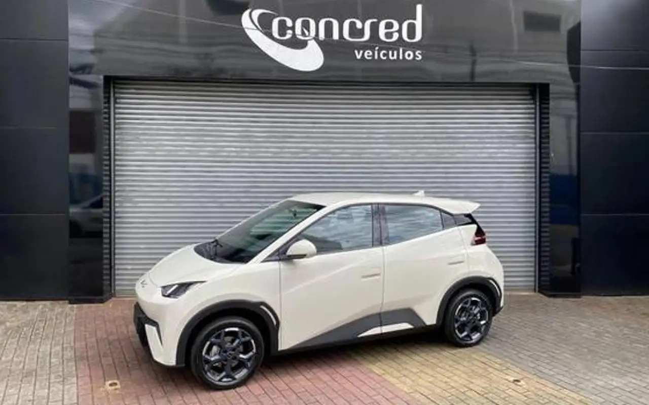BYD DOLPHIN MINI 38 KW ELÉTRICO GS — foto 1 de 17