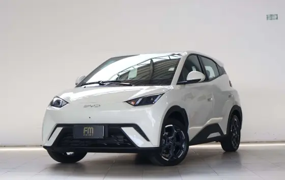 BYD DOLPHIN MINI 38 KW ELÉTRICO GS em Recife, PE