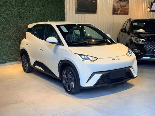 BYD DOLPHIN MINI 38 KW ELÉTRICO GS em Espírito Santo do Pinhal, SP