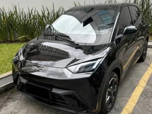 BYD DOLPHIN MINI 38 KW ELÉTRICO em São Paulo, SP