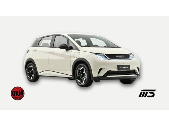 BYD DOLPHIN 44,9 KW ELÉTRICO GS em Belo Horizonte, MG