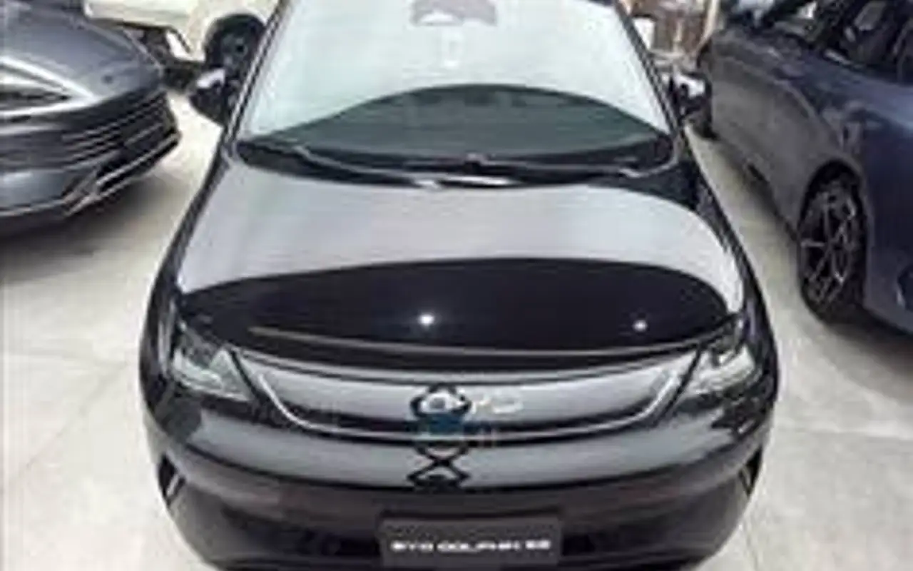 BYD DOLPHIN 45,1 KW ELÉTRICO SE — foto 1 de 12