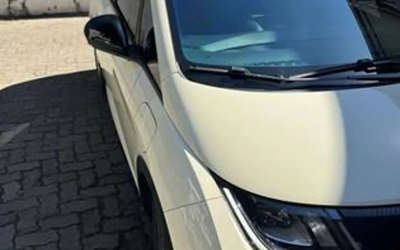 BYD DOLPHIN 44,9 KW ELÉTRICO — foto 1 de 8