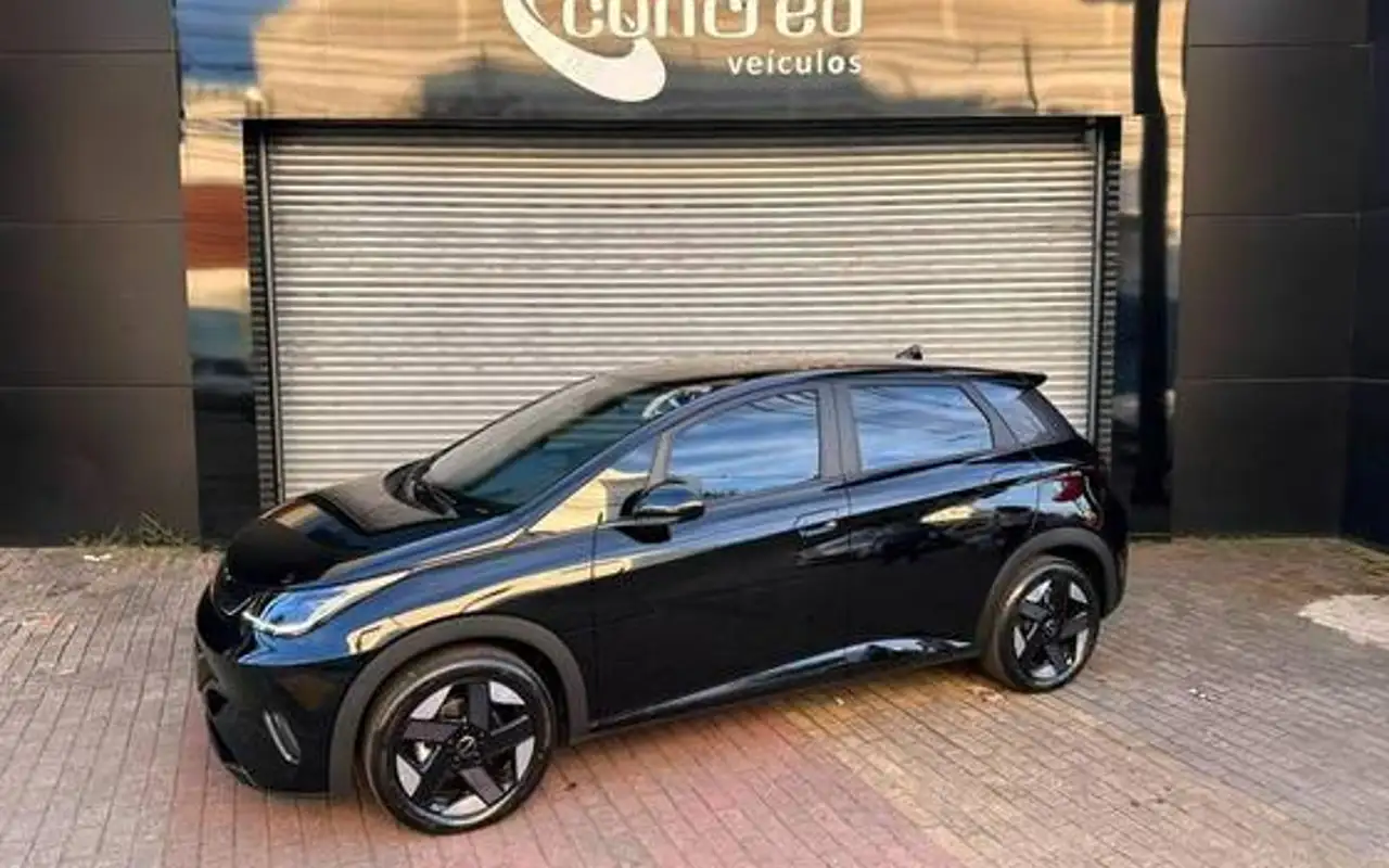 BYD DOLPHIN 45,1 KW ELÉTRICO SE — foto 1 de 20