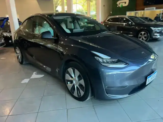 TESLA MODEL Y P100D PERFORMANCE AWD ELÉTRICO em São Paulo, SP
