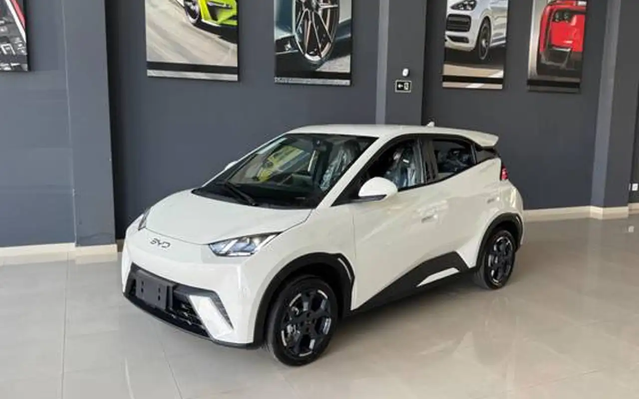 BYD DOLPHIN MINI 38 KW ELÉTRICO GL — foto 1 de 15