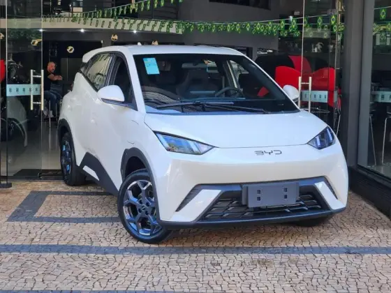 BYD DOLPHIN MINI 38 KW ELÉTRICO GL em Leme, SP