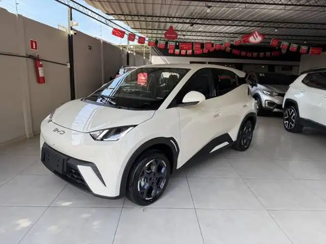 BYD DOLPHIN MINI 38 KW ELÉTRICO GS em Cataguases, MG
