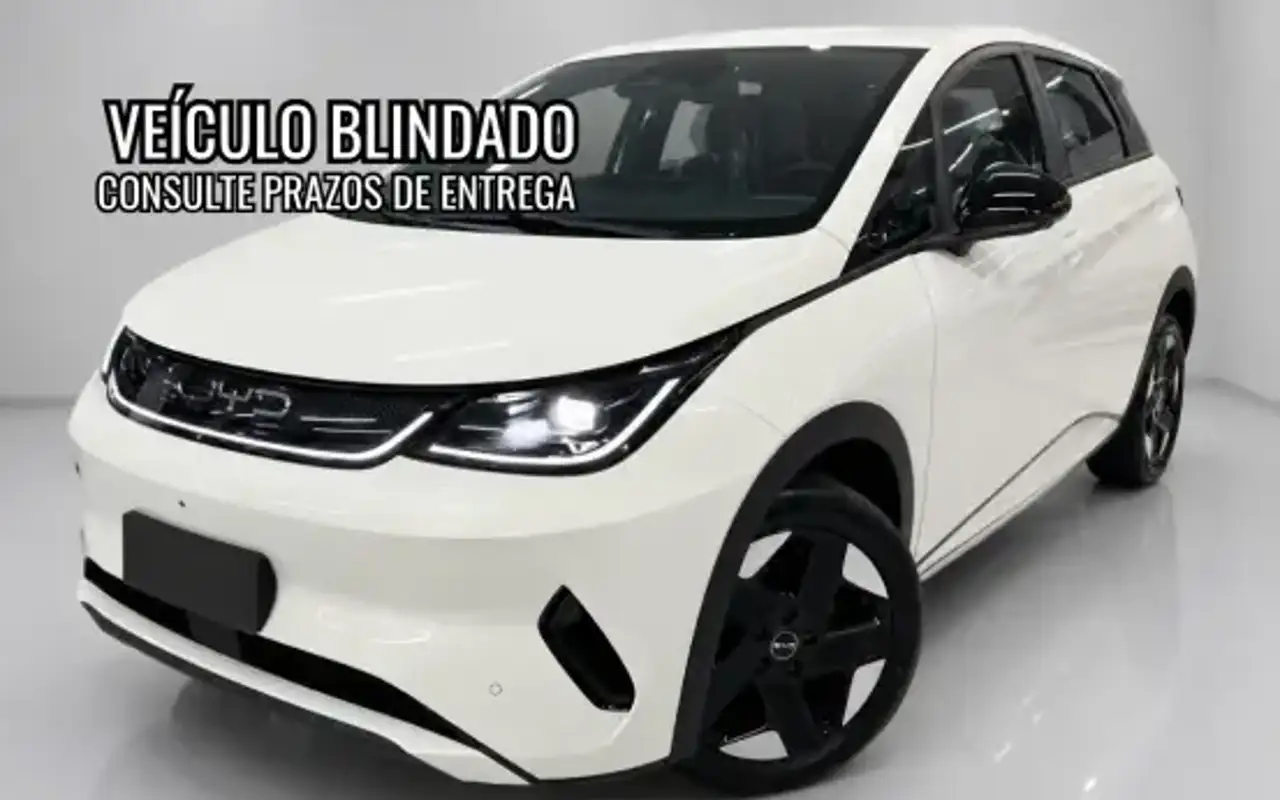 BYD DOLPHIN 45,1 KW ELÉTRICO SE — foto 1 de 12