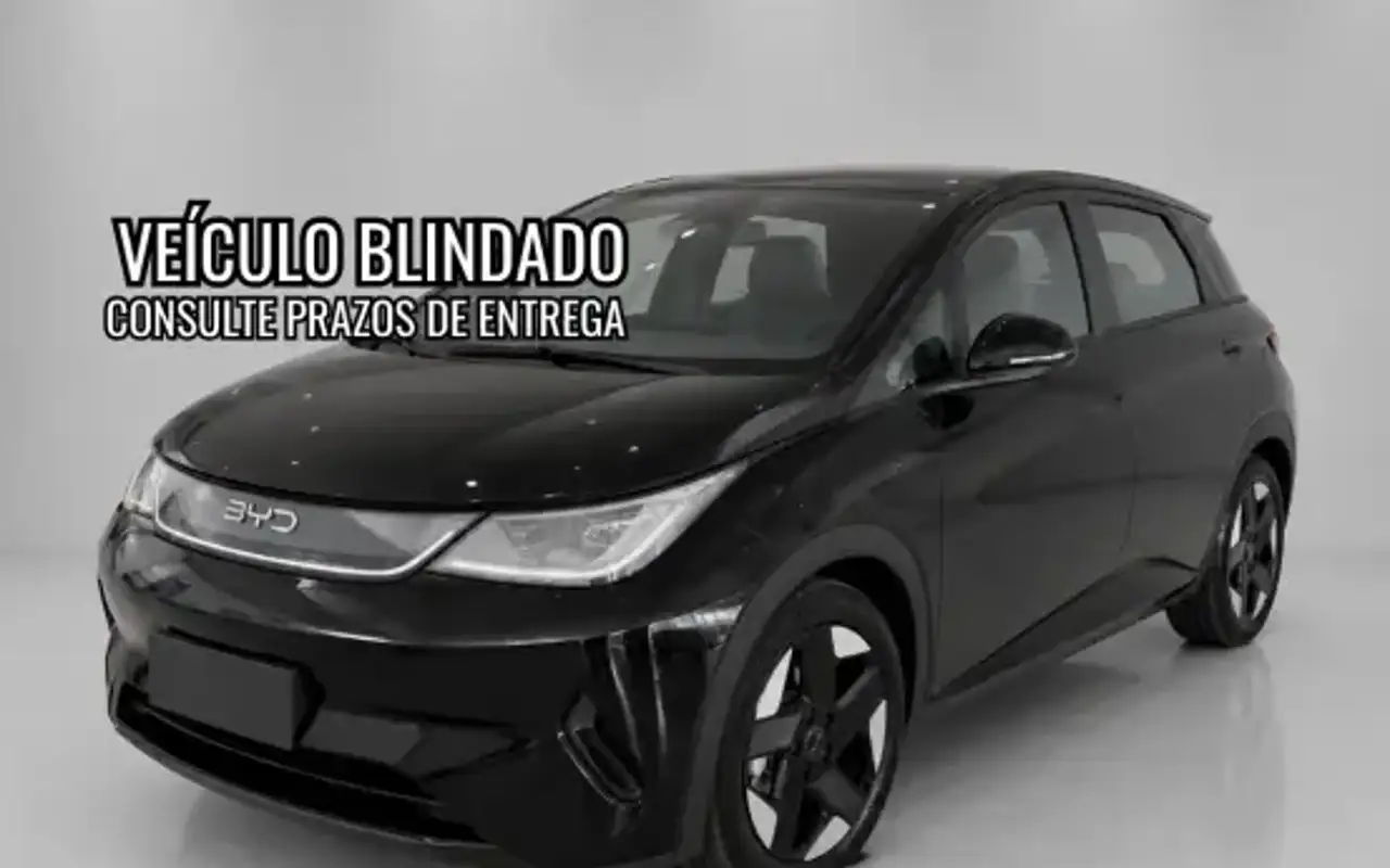 BYD DOLPHIN 45,1 KW ELÉTRICO SE — foto 1 de 9