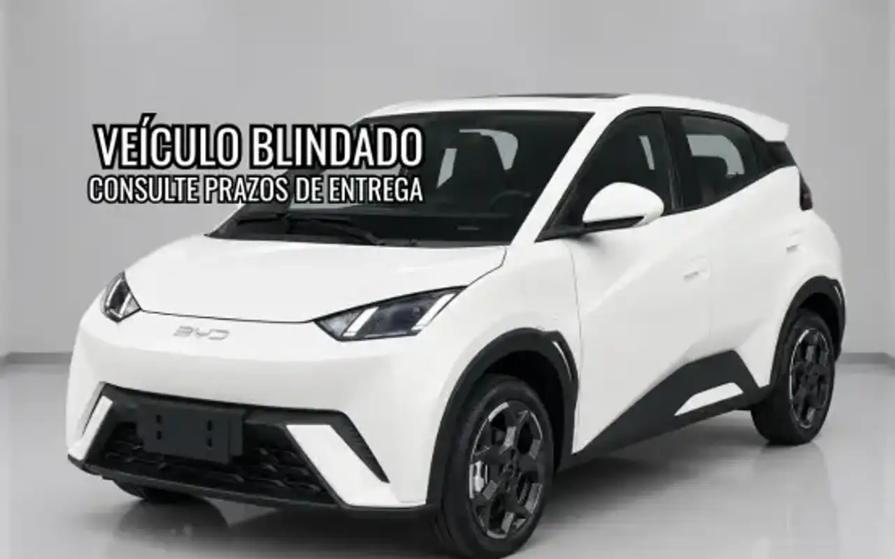 BYD DOLPHIN MINI 38 KW ELÉTRICO GS — foto 1 de 13