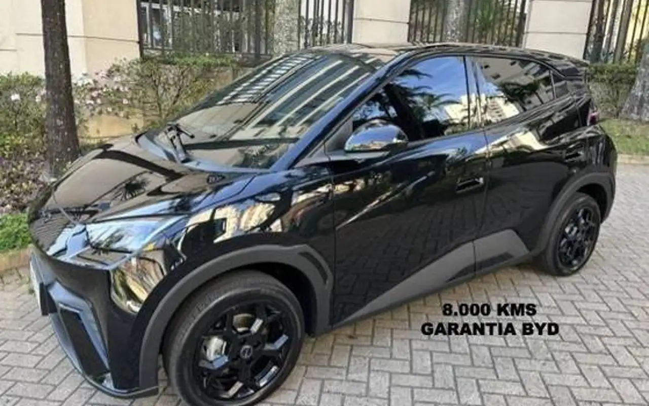 BYD DOLPHIN MINI 38 KW ELÉTRICO GS — foto 1 de 8