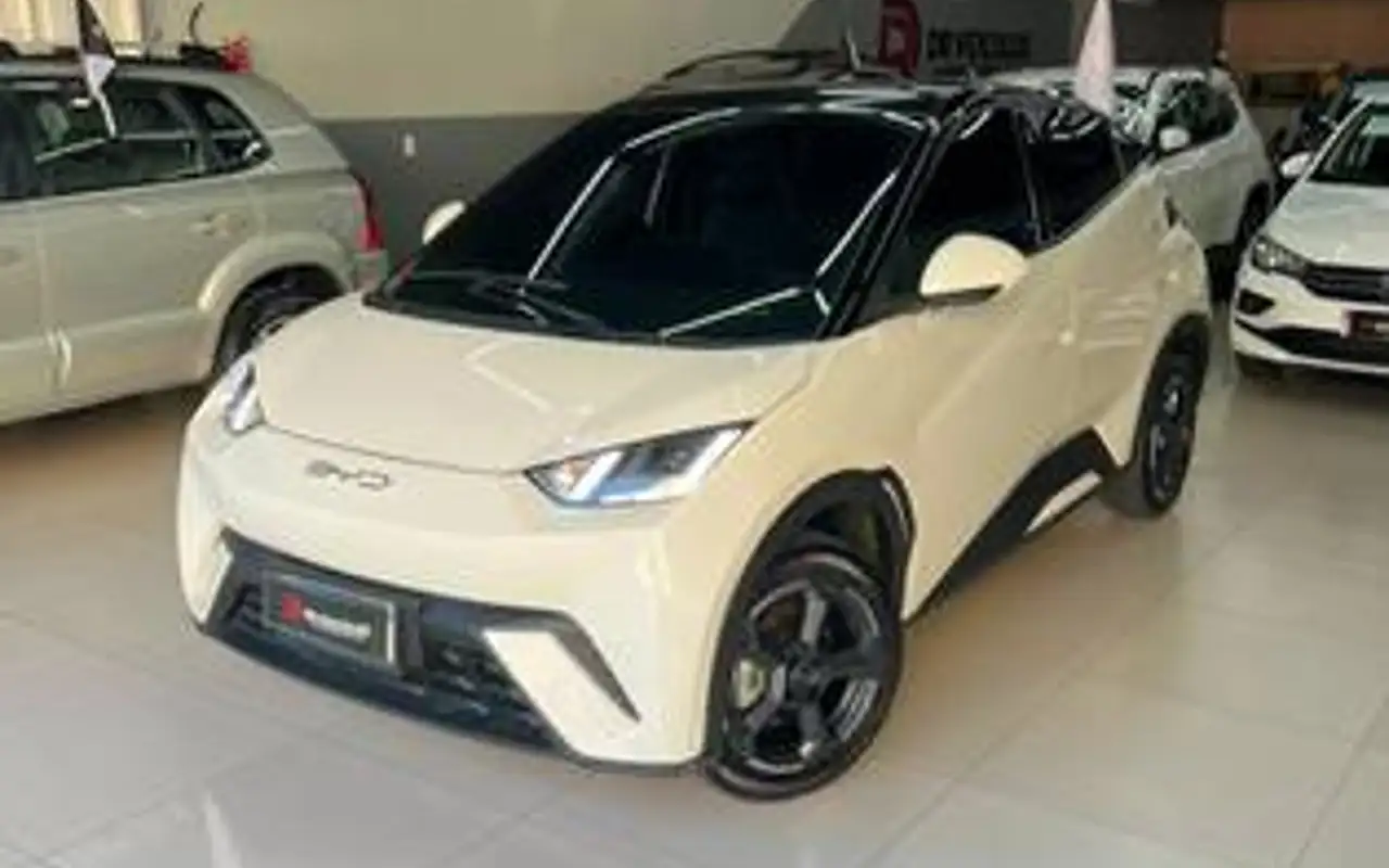 BYD DOLPHIN 44,9 KW ELÉTRICO GS — foto 1 de 18