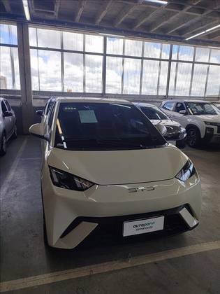 BYD DOLPHIN MINI 38 KW ELÉTRICO em João Pessoa, PB