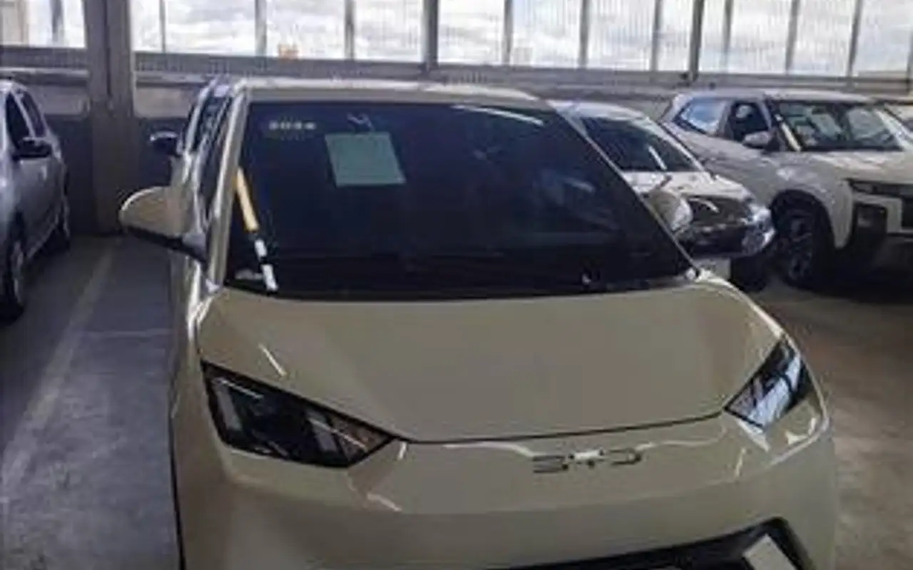 BYD DOLPHIN MINI 38 KW ELÉTRICO — foto 1 de 11