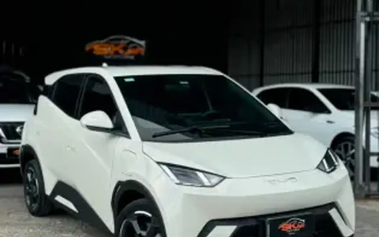 BYD DOLPHIN MINI 38 KW ELÉTRICO — foto 1 de 14