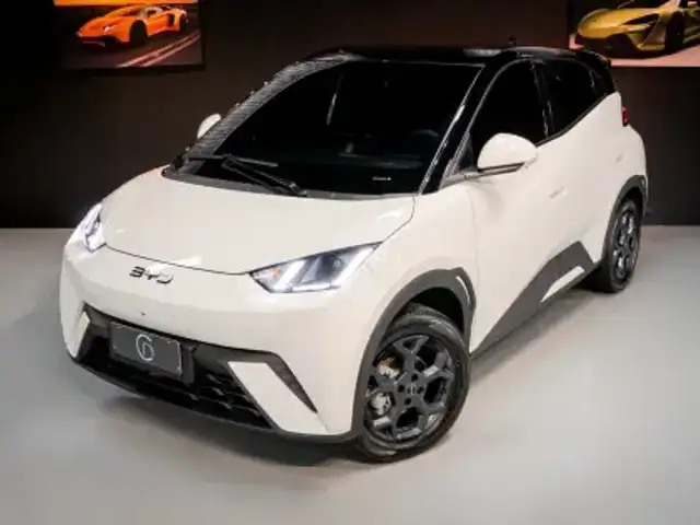 BYD DOLPHIN MINI 38 KW ELÉTRICO GS em Blumenau, SC