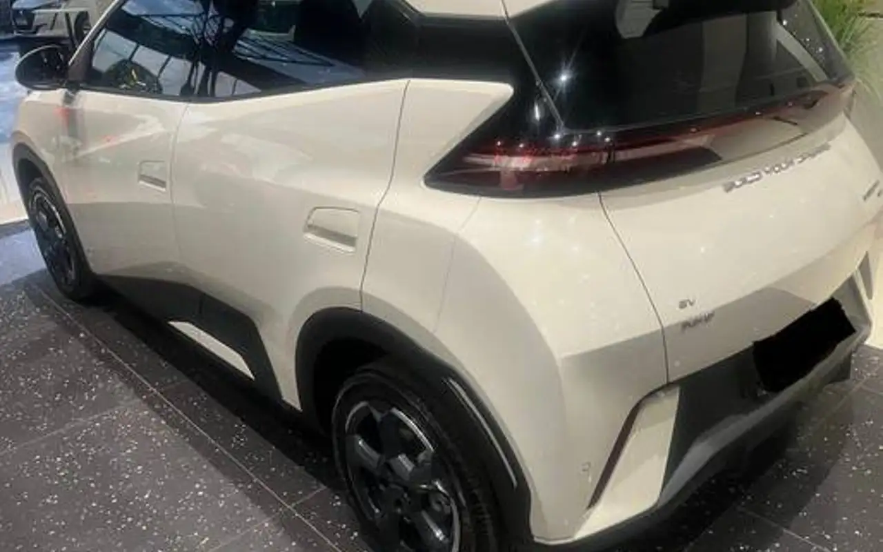 BYD DOLPHIN MINI 38 KW ELÉTRICO — foto 1 de 5