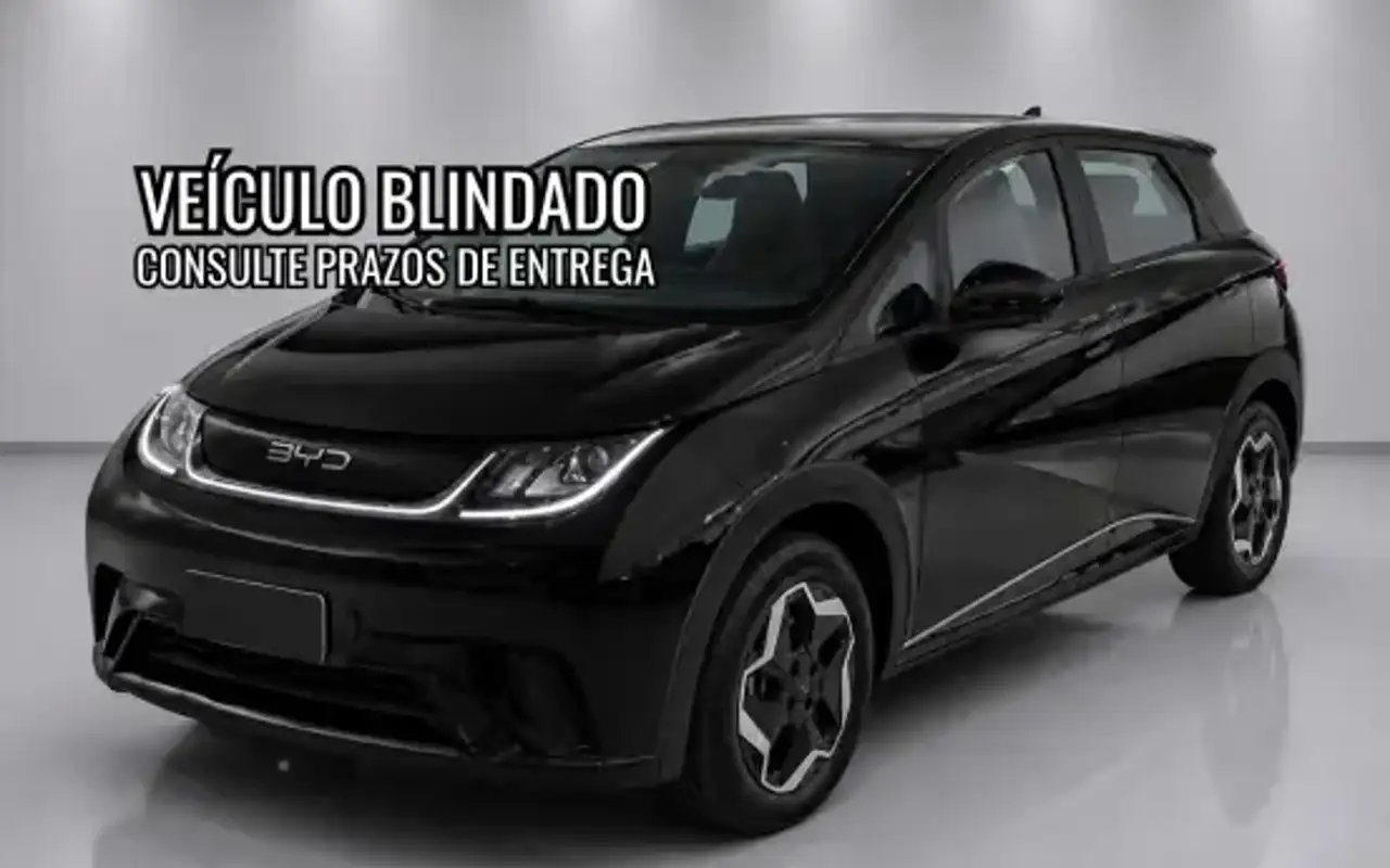 BYD DOLPHIN 44,9 KW ELÉTRICO GS — foto 1 de 11