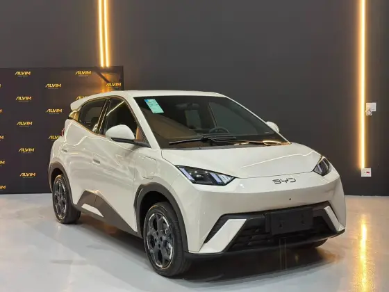 BYD DOLPHIN MINI 38 KW ELÉTRICO GS em Divinópolis, MG