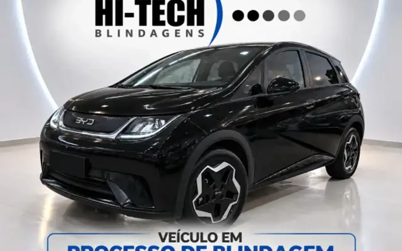 BYD DOLPHIN 44,9 KW ELÉTRICO GS — foto 1 de 10