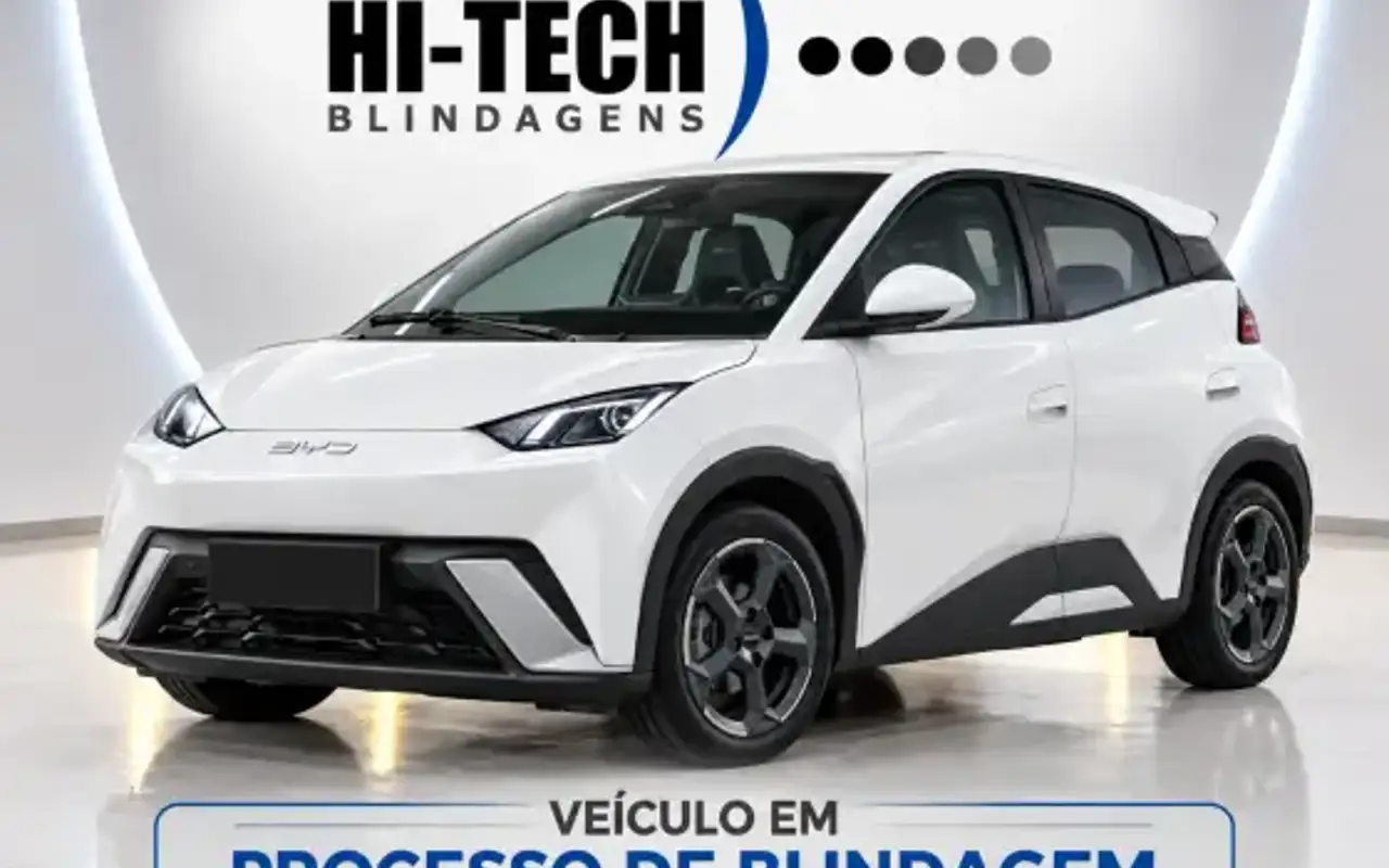 BYD DOLPHIN MINI 38 KW ELÉTRICO GS — foto 1 de 10