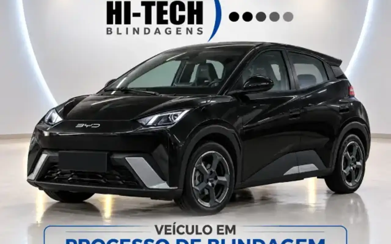 BYD DOLPHIN MINI 38 KW ELÉTRICO GS — foto 1 de 10