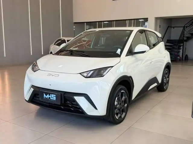 BYD DOLPHIN MINI 38 KW ELÉTRICO GS em Uberlândia, MG