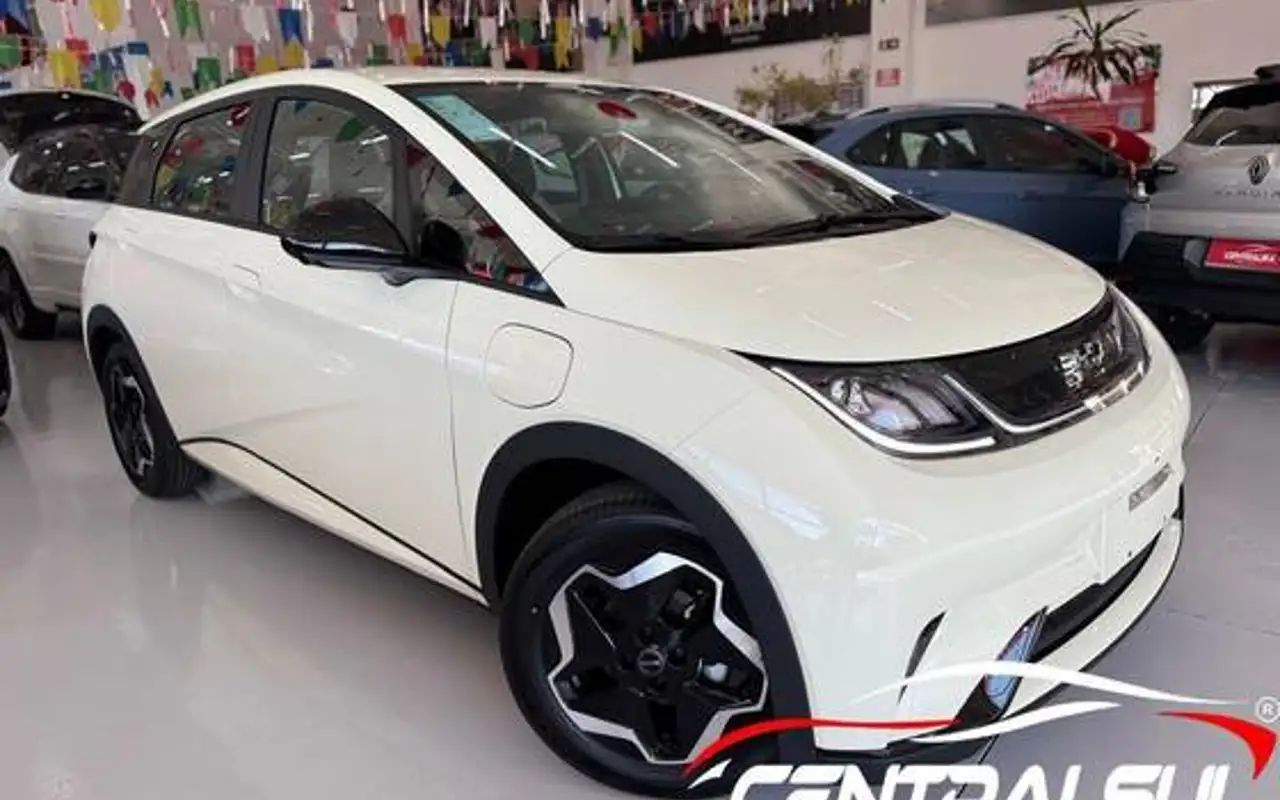 BYD DOLPHIN 44,9 KW ELÉTRICO GS — foto 1 de 19