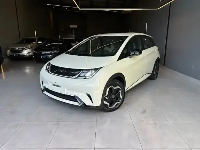 BYD DOLPHIN 44,9 KW ELÉTRICO GS em Ribeirão Preto, SP