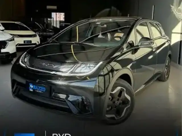 BYD DOLPHIN 44,9 KW ELÉTRICO GS em Ribeirão Preto, SP