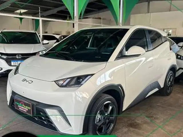 BYD DOLPHIN MINI 38 KW ELÉTRICO 5L em Uberlândia, MG