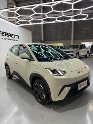 BYD DOLPHIN MINI 38 KW ELÉTRICO GS em Guaramirim, SC