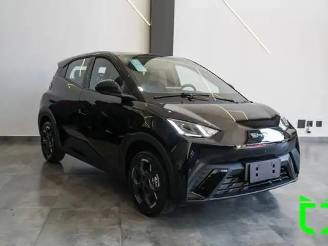 BYD DOLPHIN MINI 38 KW ELÉTRICO GS em Rio Claro, SP