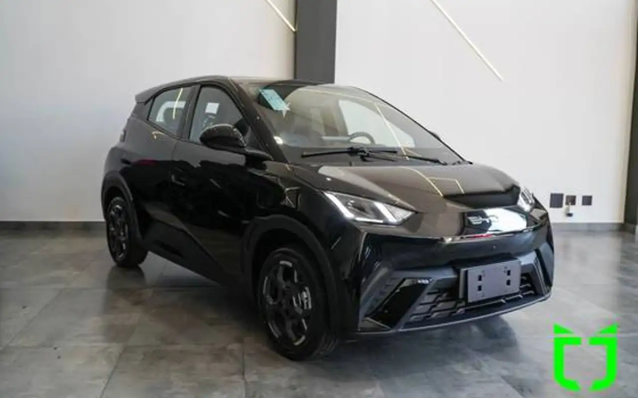BYD DOLPHIN MINI 38 KW ELÉTRICO GS — foto 1 de 19