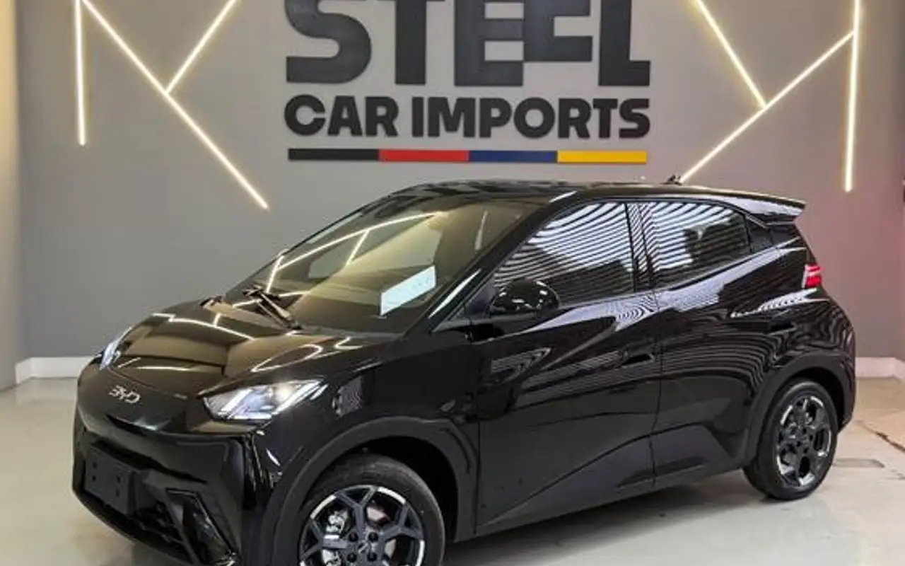 BYD DOLPHIN MINI 38 KW ELÉTRICO GS — foto 1 de 19