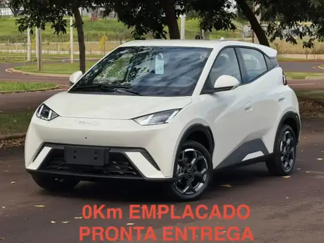 BYD DOLPHIN MINI 38 KW ELÉTRICO GS em Ribeirão Preto, SP