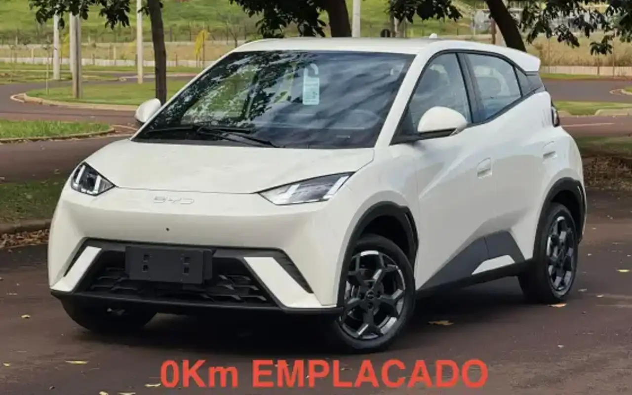 BYD DOLPHIN MINI 38 KW ELÉTRICO GS — foto 1 de 19