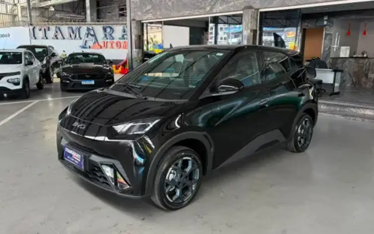 BYD DOLPHIN MINI 38 KW ELÉTRICO GS — foto 1 de 8