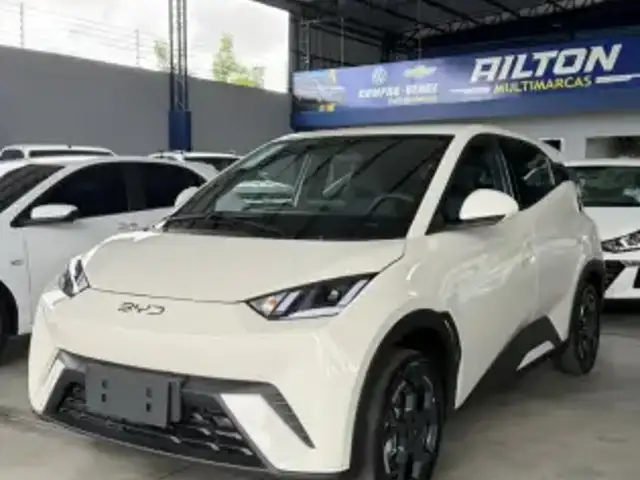 BYD DOLPHIN MINI 38 KW ELÉTRICO GL em Boa Vista, RR