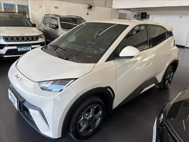 BYD DOLPHIN MINI 38 KW ELÉTRICO 5L em Goiânia, GO