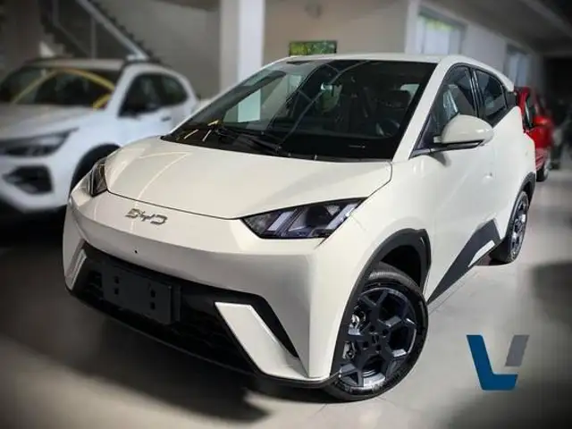 BYD DOLPHIN MINI 38 KW ELÉTRICO GS em Leme, SP