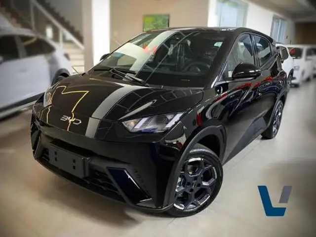 BYD DOLPHIN MINI 38 KW ELÉTRICO GS em Leme, SP