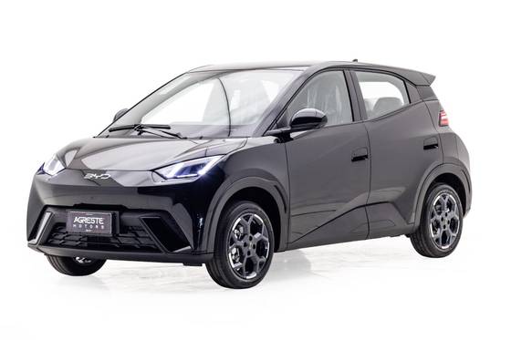 BYD DOLPHIN MINI 38 KW ELÉTRICO GS em Garanhuns, PE