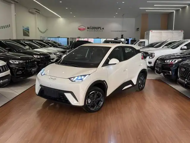 BYD DOLPHIN MINI 38 KW ELÉTRICO GS em Franca, SP