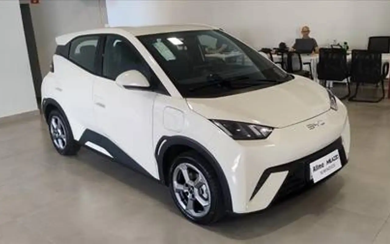 BYD DOLPHIN MINI 38 KW ELÉTRICO — foto 1 de 13